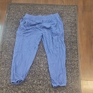 Sundry Men's Blue Joggers